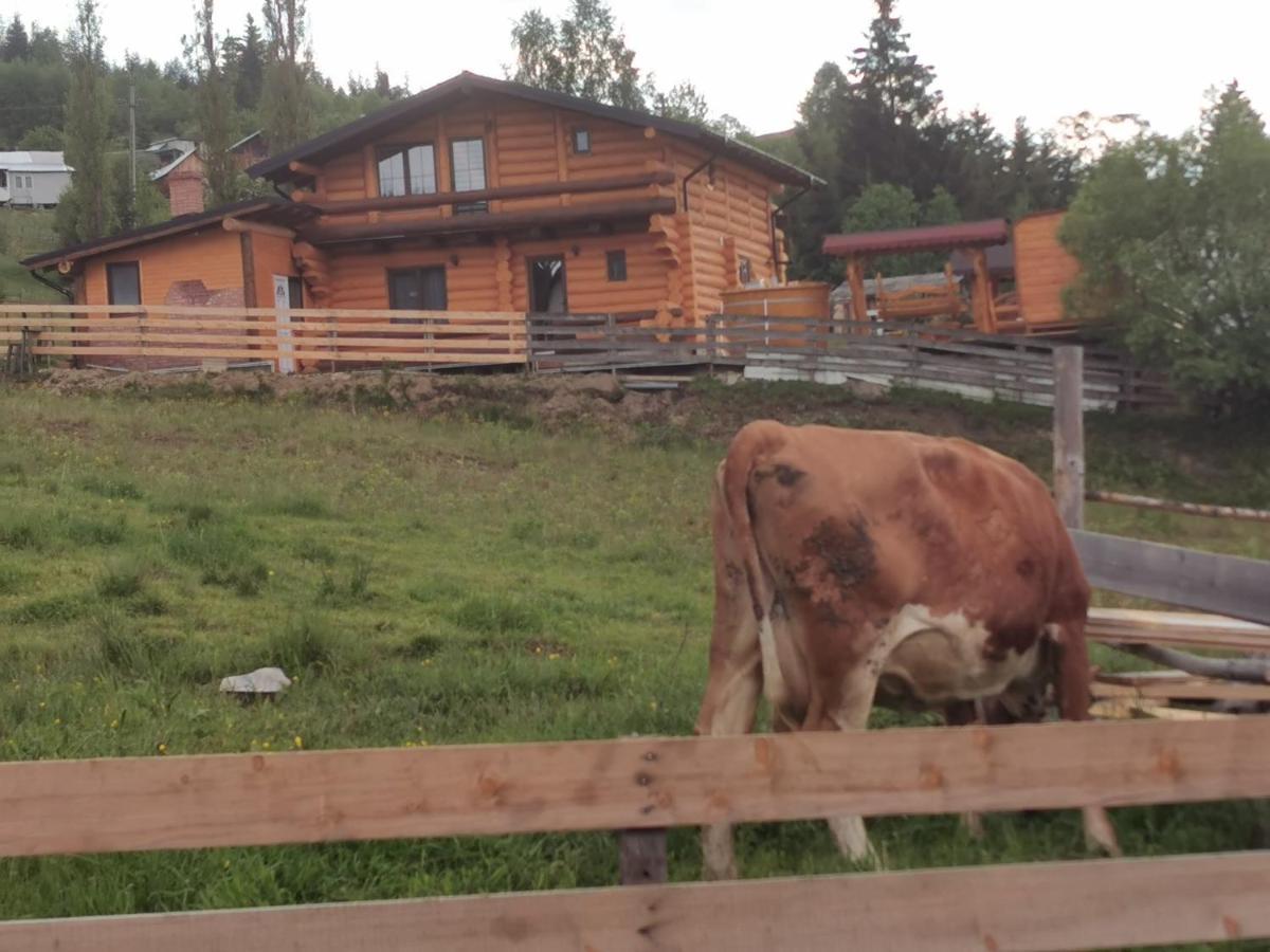 וטרה דורניי Chalet Relax מראה חיצוני תמונה